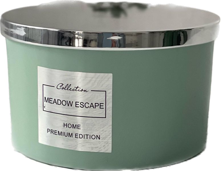 Ароматична свічка Pepco Home Premium Meadow Escape (м'ятний колір) 2018595230 фото